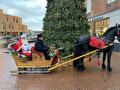De kerstman in zijn arrenslee, kerstentertainment (foto 2)