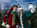 Elfie en Selfie, de elfen van de kerstman